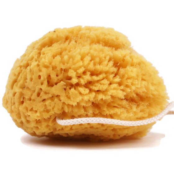 Gąbka morska naturalna Grass XL Lemonii