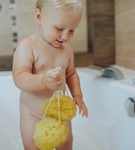 Gąbka morska naturalna Fine silk L Lemonii