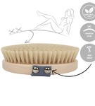 Zestaw 2 szczotek do masażu ciała na sucho Natural & Tampico MORELKOWE