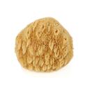 Gąbka naturalna do kąpieli Fine Silk XL Lemonii