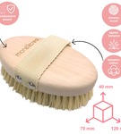 Zestaw 2 szczotek do masażu ciała na sucho Natural & Tampico MORELKOWE