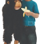 Pacynka Szympans rozmiar XXL The Puppet Company
