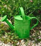 Konewka dla dziecka metalowa zielona Woody