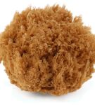 Gąbka naturalna GRASS XXL niebielona 15,2 Lemonii