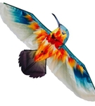 Latawiec Koliber Imex