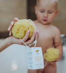 Gąbka morska naturalna Fine silk L Lemonii