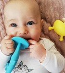 Gryzak tańczący słoń Eukaliptus gryzak silikonowy Mombella