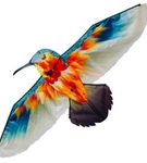 Latawiec Koliber Imex