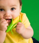 Gryzak szczoteczka kukurydza zielona Baby Banana