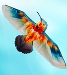 Latawiec Koliber Imex